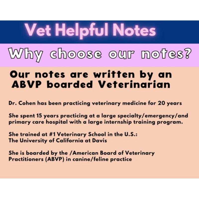 Veterinary Medicine Guide 180 Page, Vet Med Study Guide, VTNE Prep: Entire Collection Bundle - Image 2